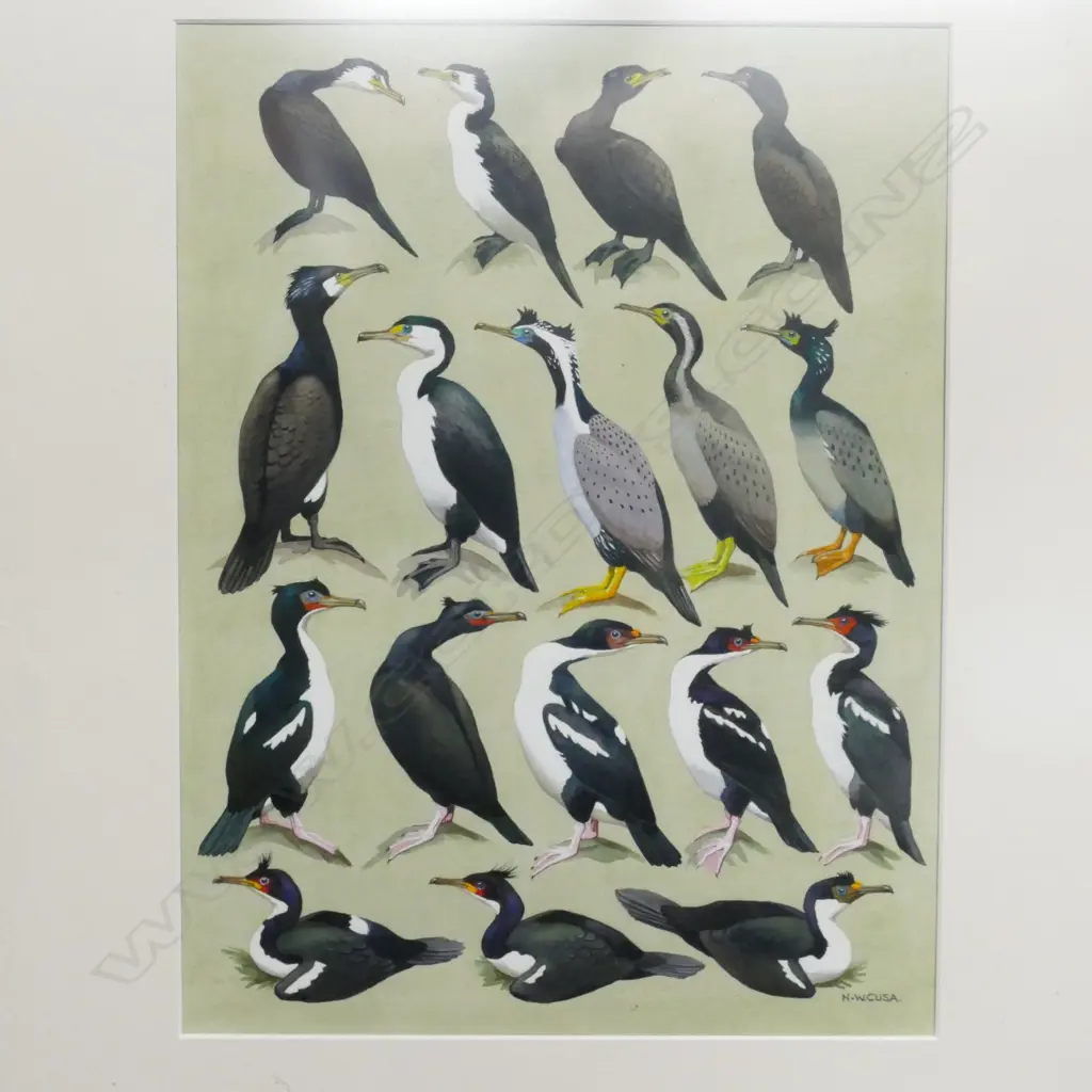 Noel William Cusa (1909-90) Image 1++