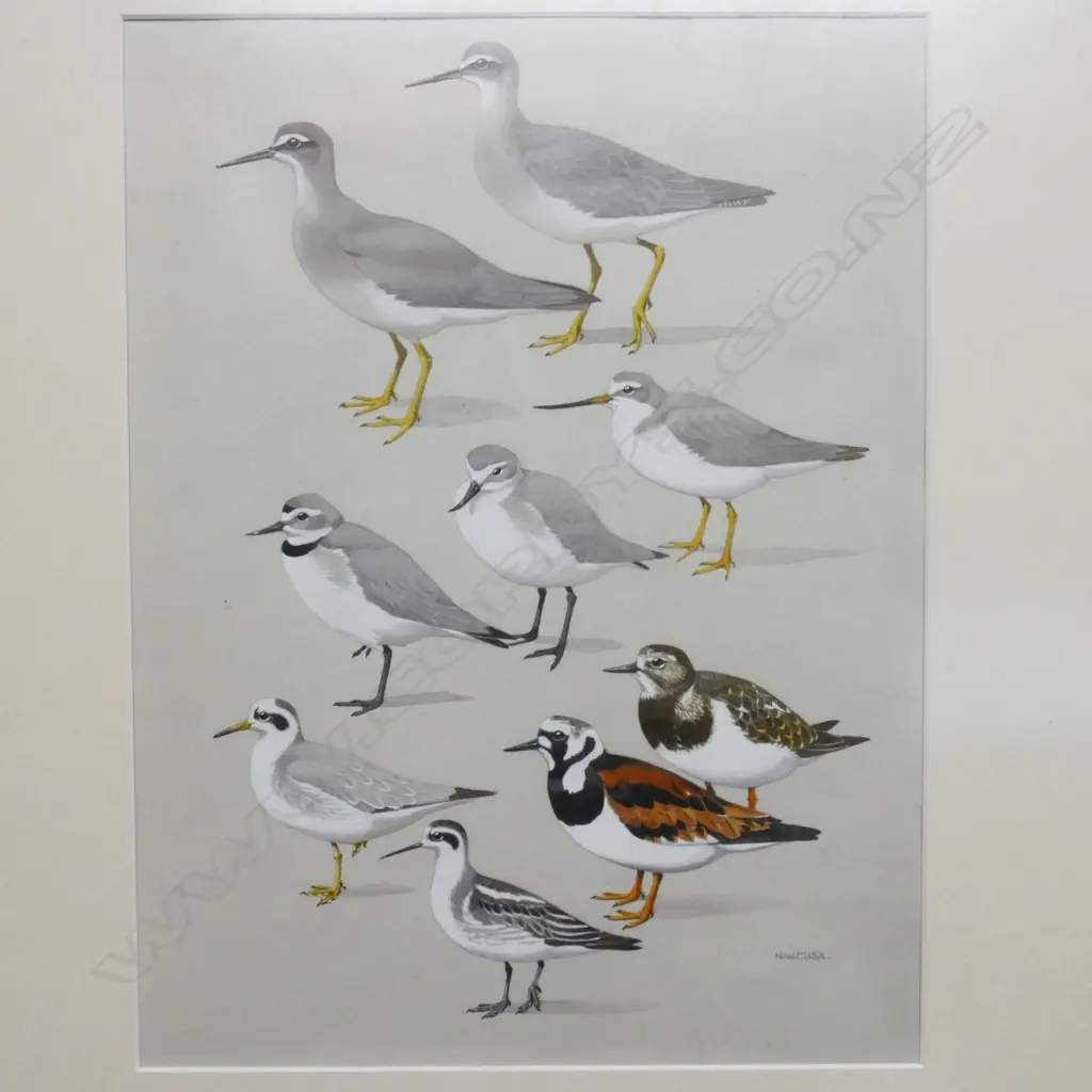 Noel William Cusa (1909-90) Image 1++