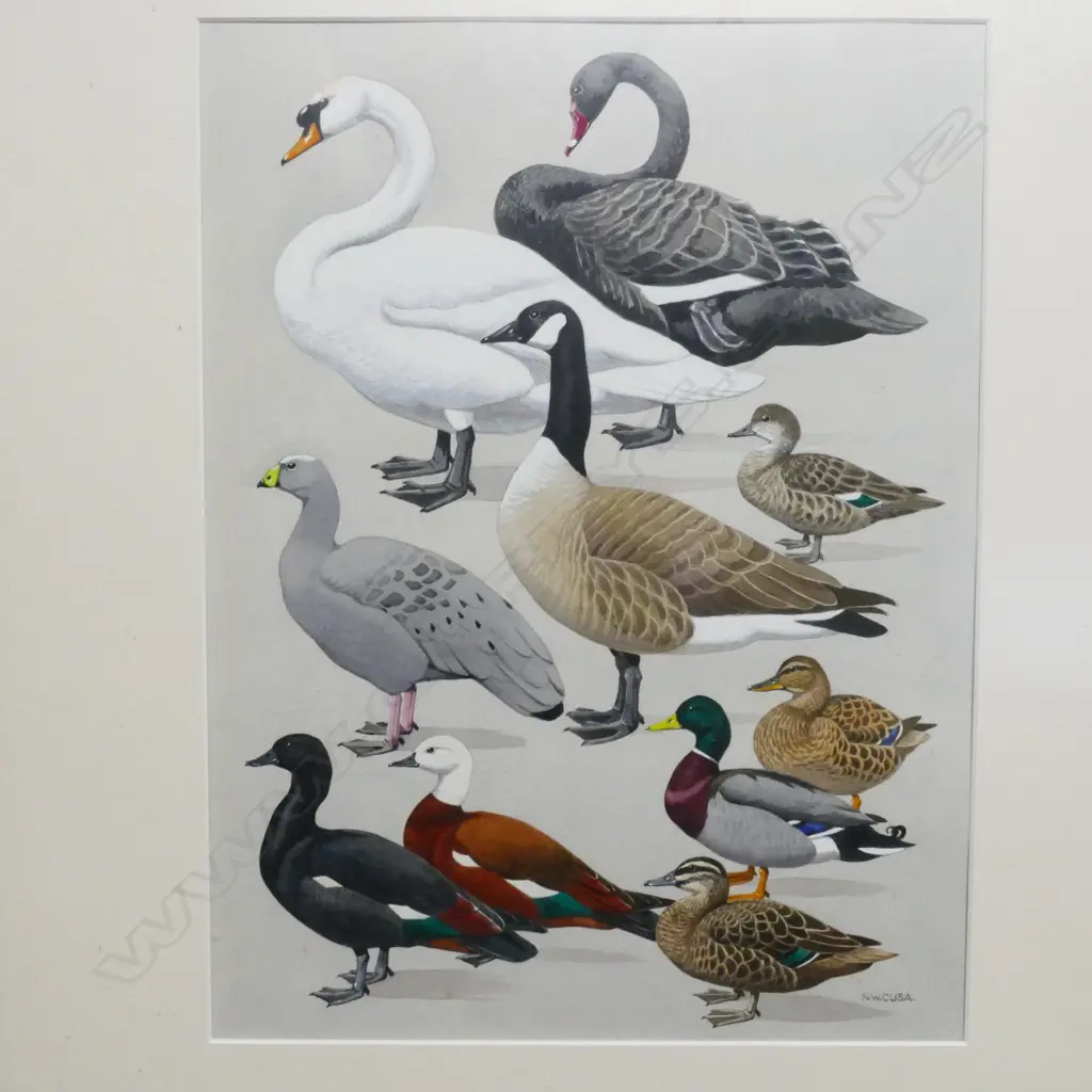 Noel William Cusa (1909-90) Image 1++