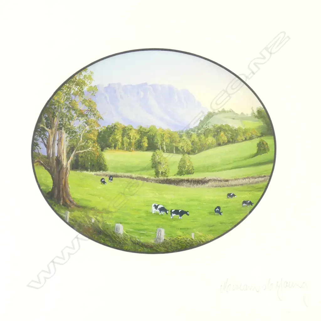 A hand painted emu egg Image 1++