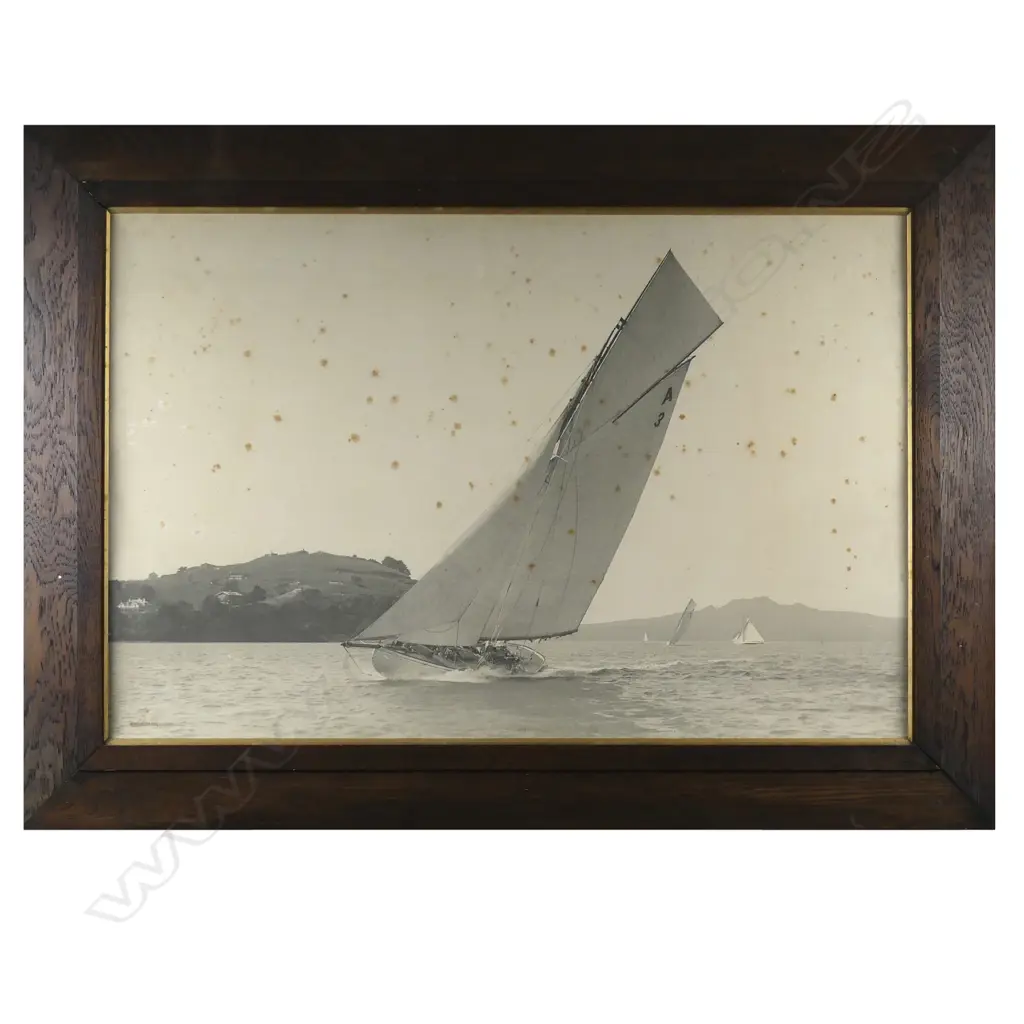 Henry Winkelmann Image 1++