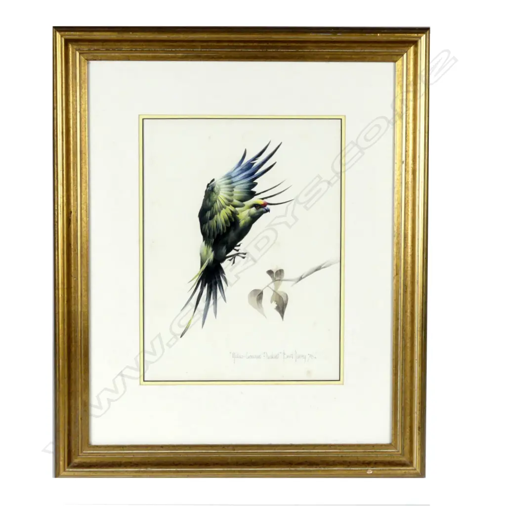 Brent Harvey Image 1++