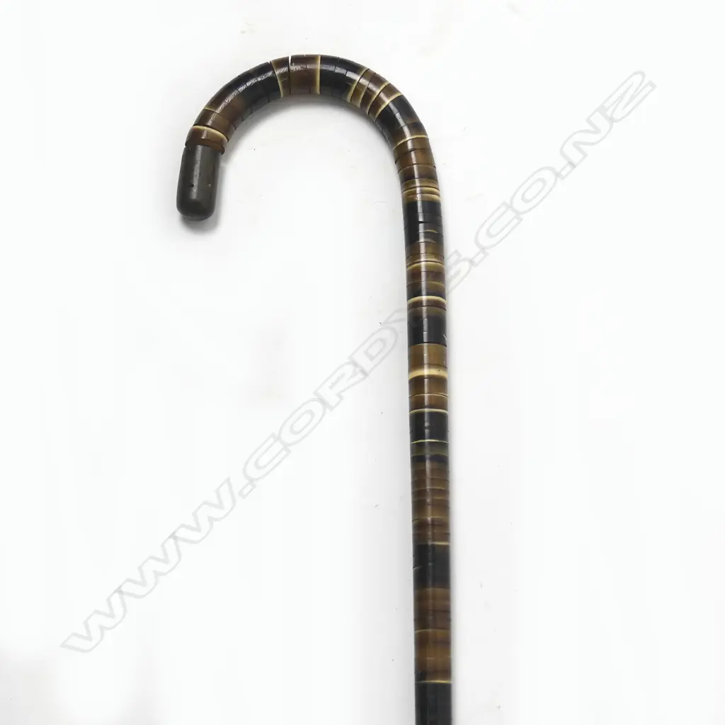 A walking stick of horn discs Image 1++