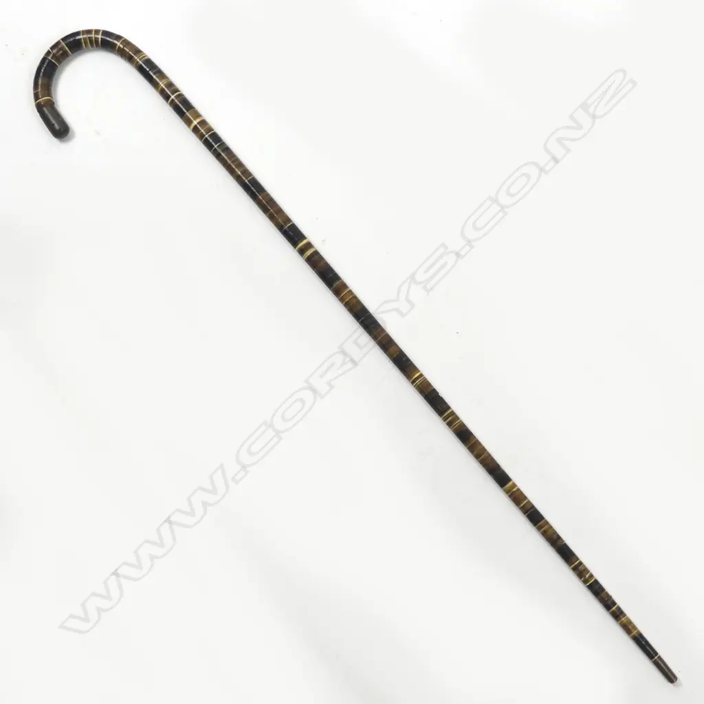 A walking stick of horn discs Image 1++