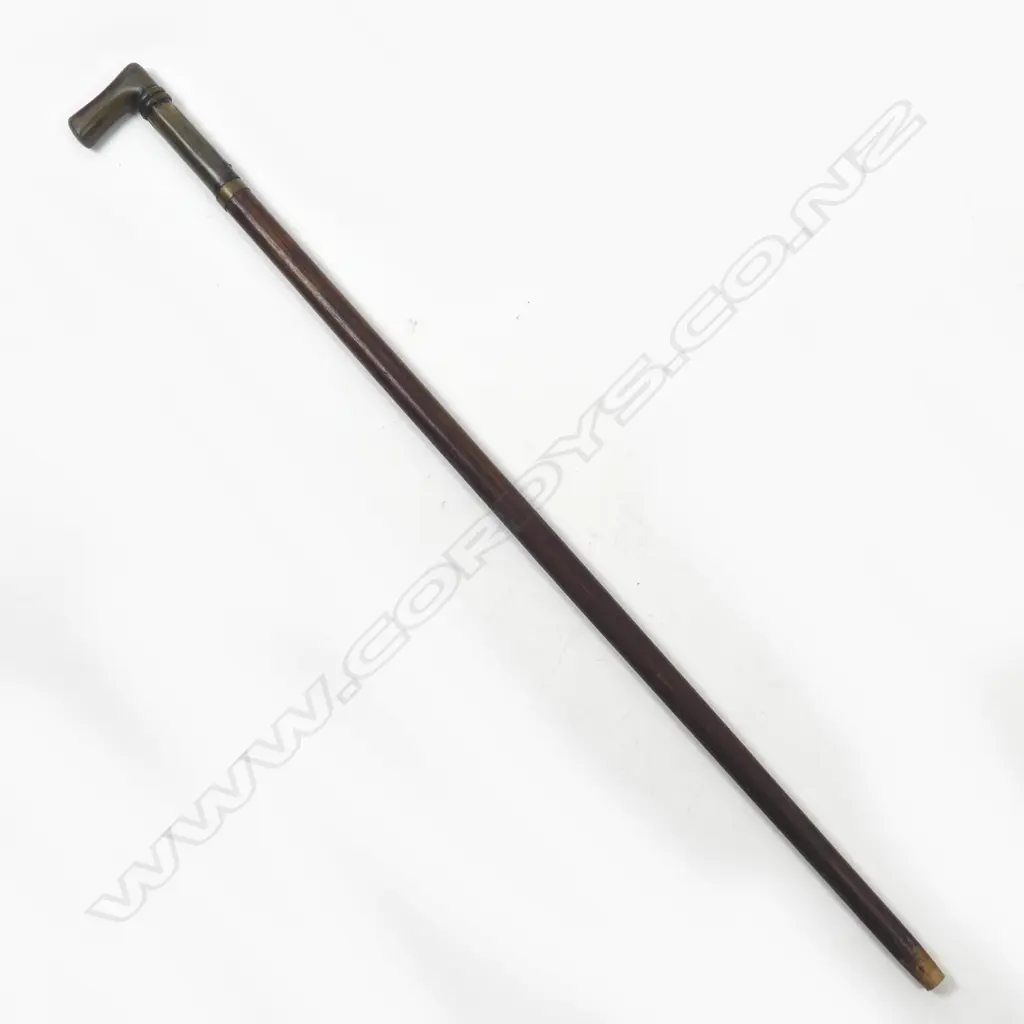 A horn handled sword stick Image 1++