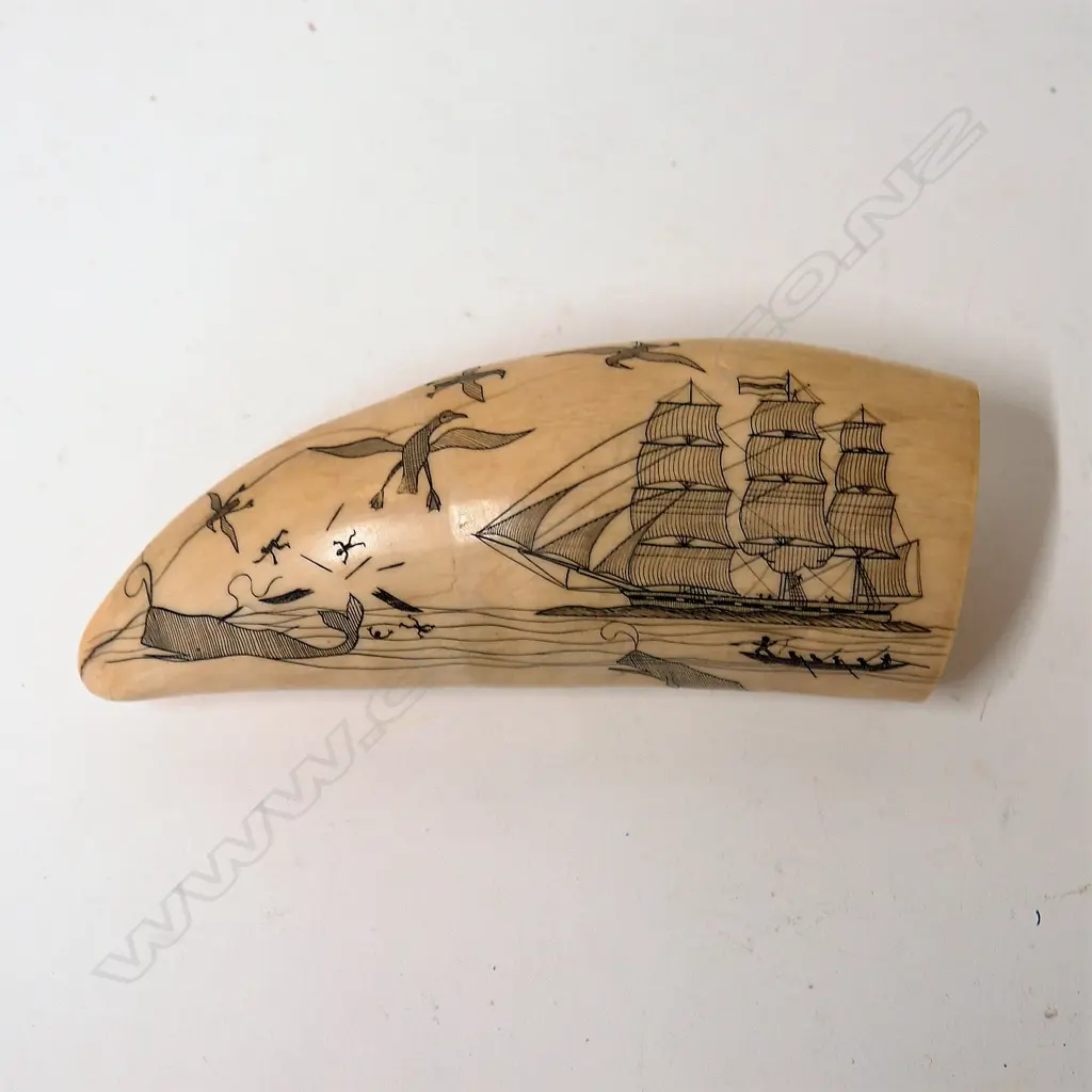 A scrimshaw whale's tooth Image 1++