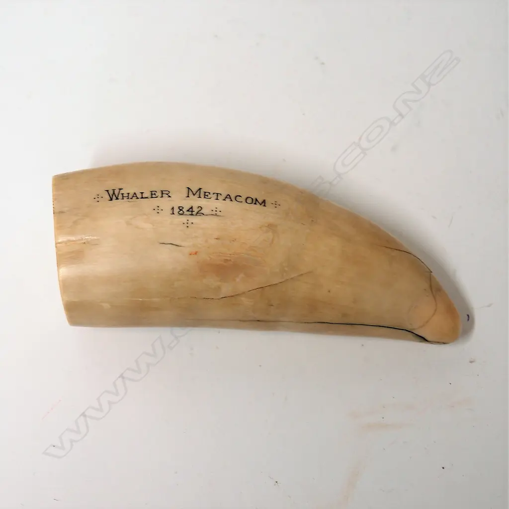 A scrimshaw whale's tooth Image 1++