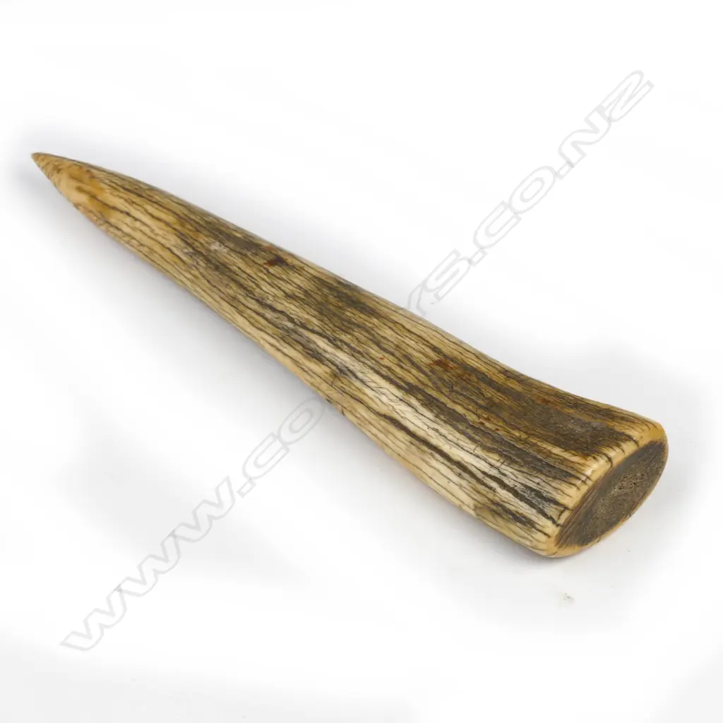An old antler fid Image 1++