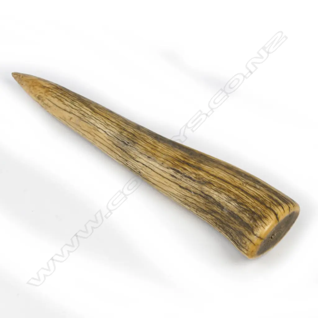 An old antler fid Image 1++