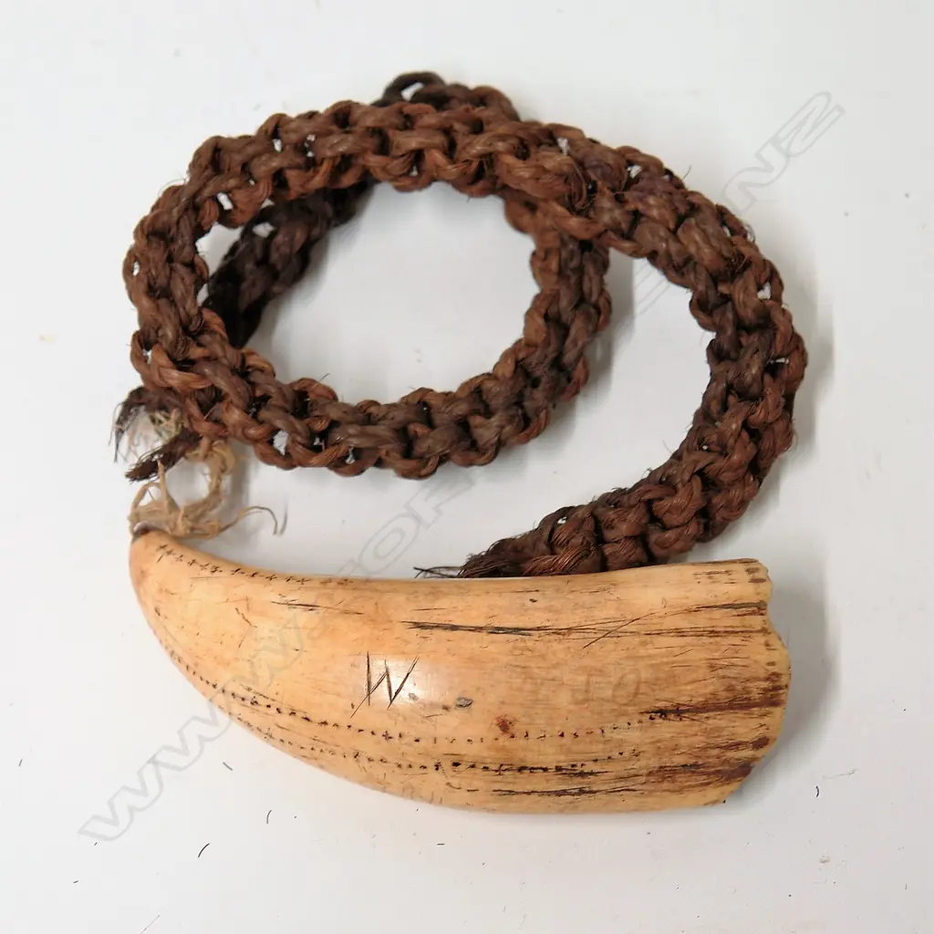 A 19thC Fijian tabua on cord Image 1++
