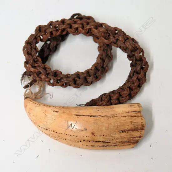 A 19thC Fijian tabua on cord