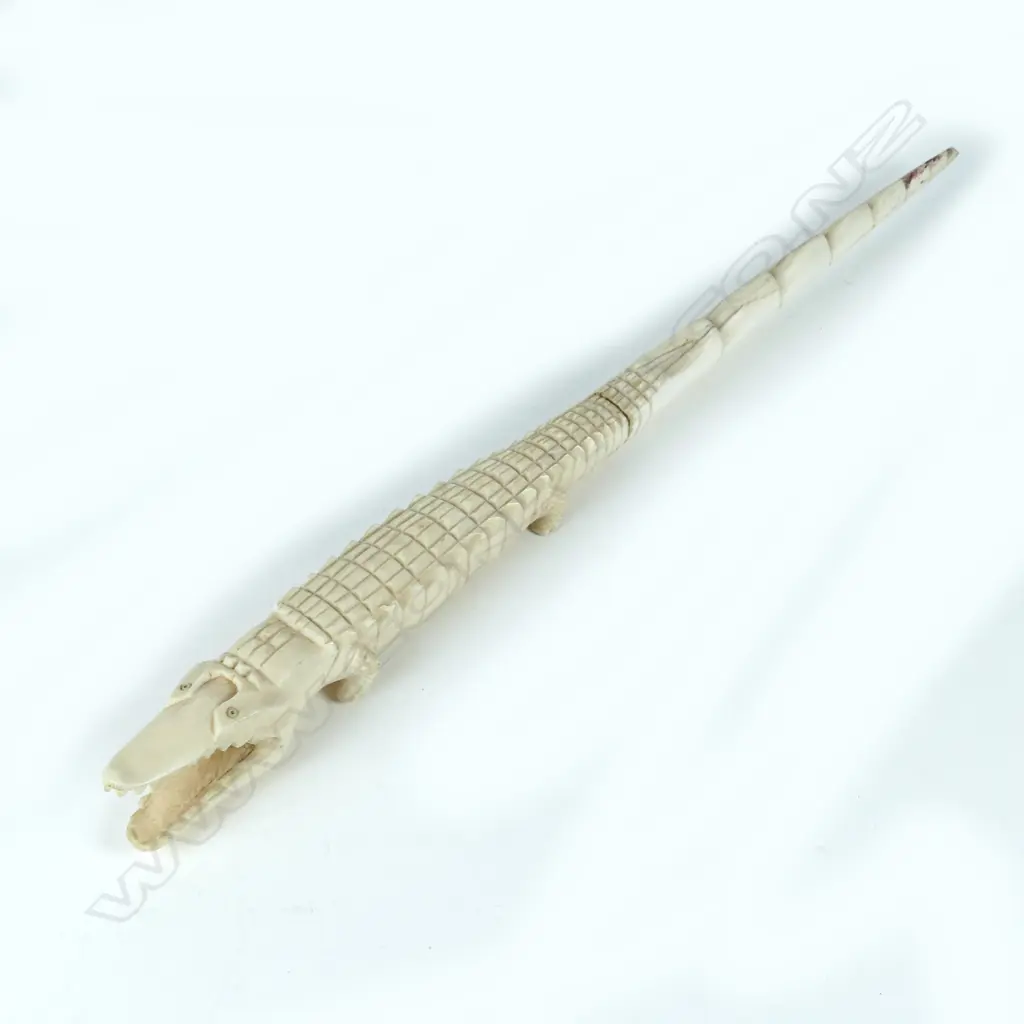 IVORY CROCODILE Image 1++