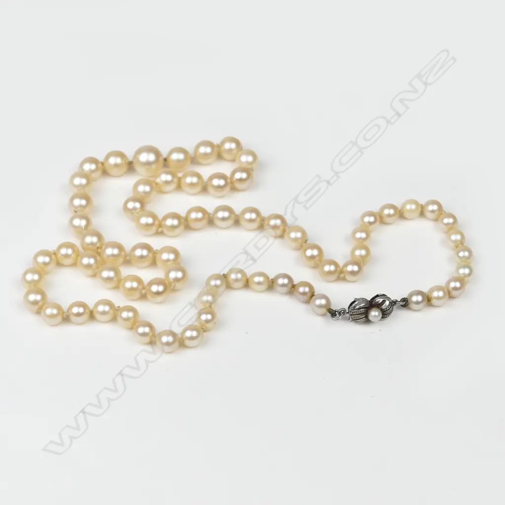 A cultured pearl necklace Image 1++