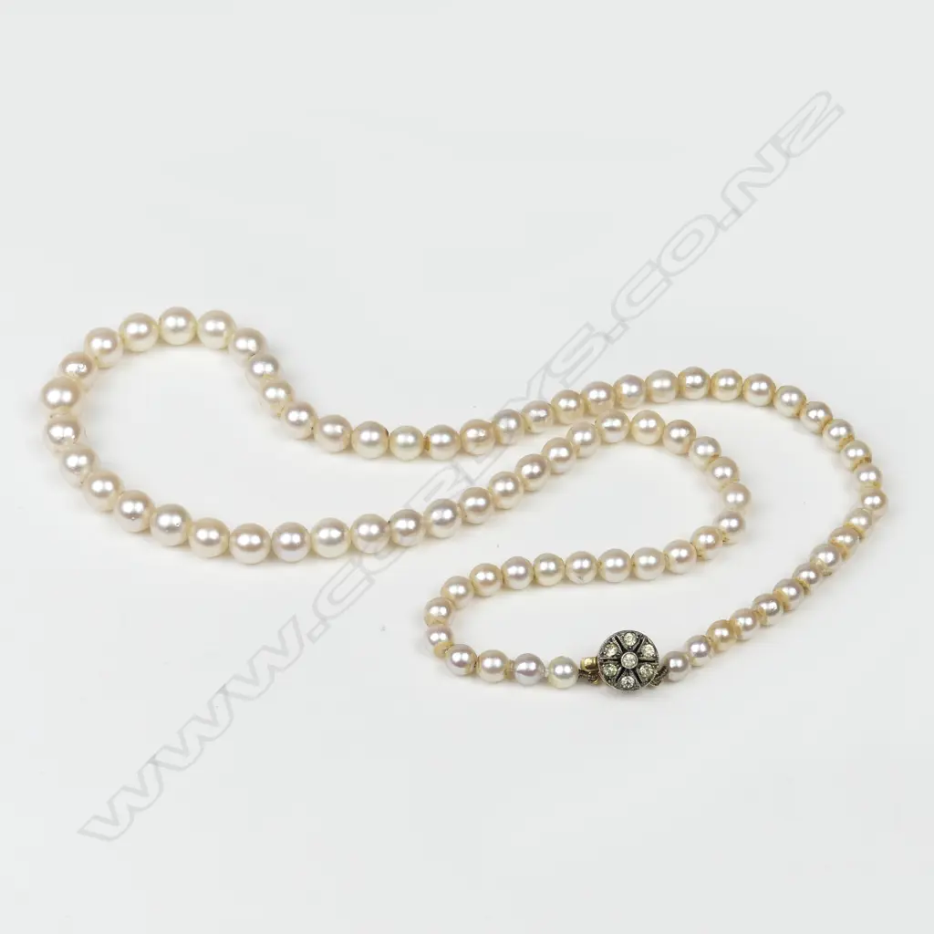A cultured pearl necklace Image 1++
