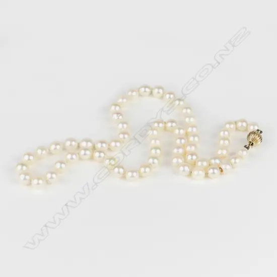 A single strand cultured pearl necklace