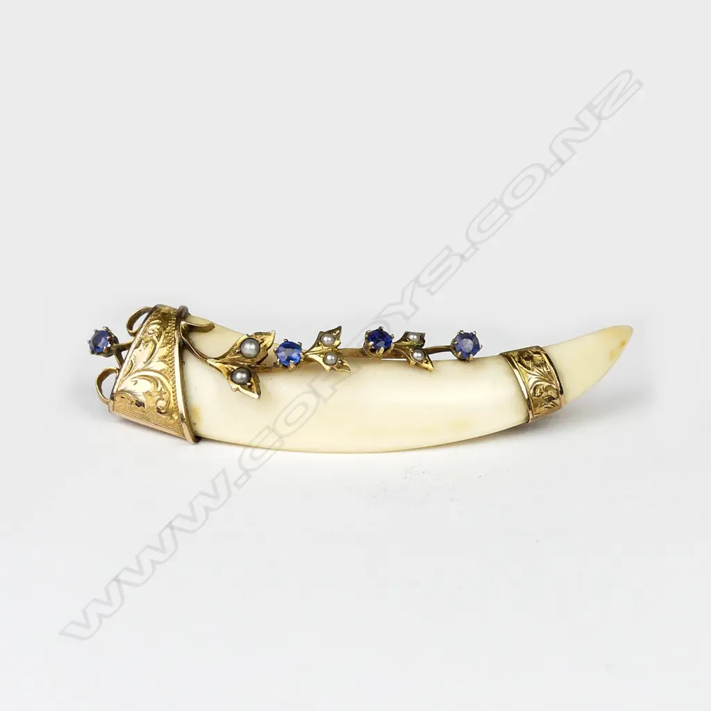 George E. Whitmore N.Z. colonial made 9ct. yellow gold and jewelled tusk brooch Image 1++