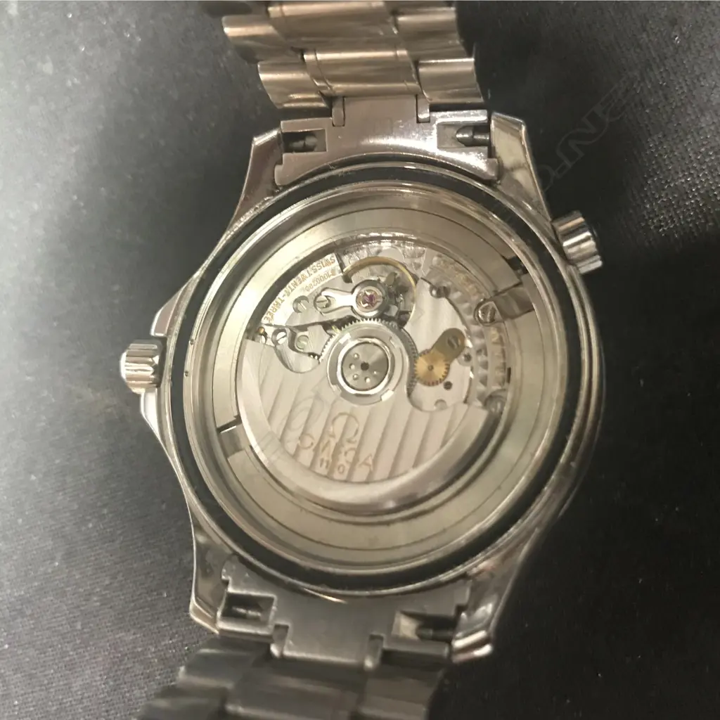 An Omega Seamaster Professional Chronometer wristwatch Image 1++