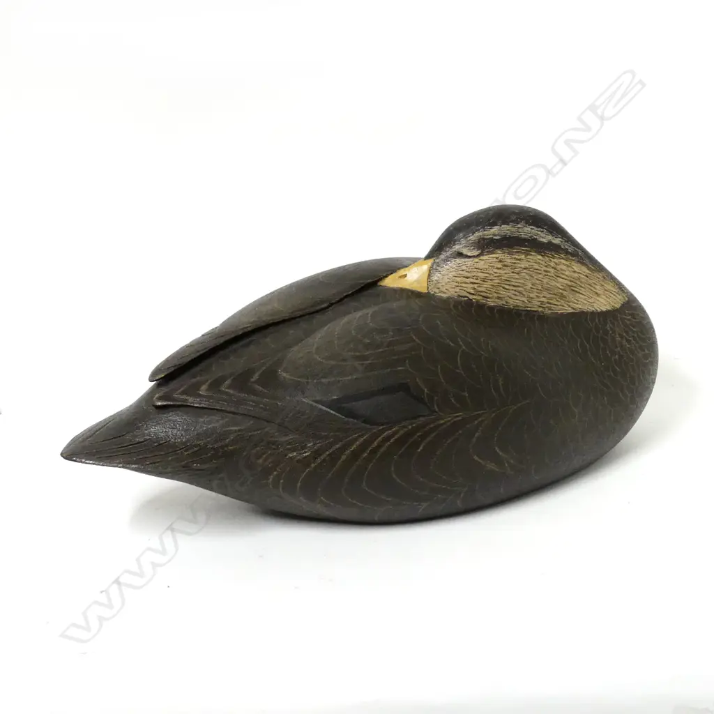 A display duck decoy by Decourcy L Taylor Image 1++