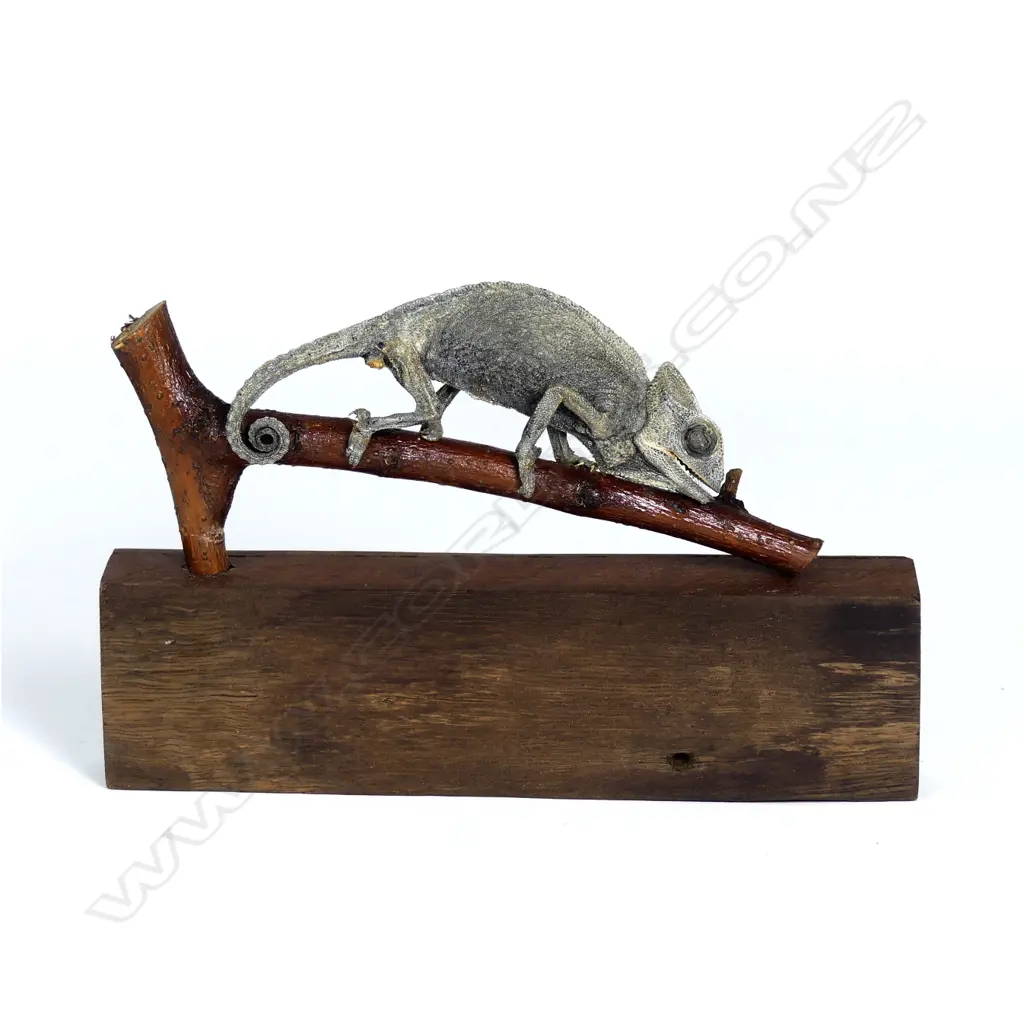A taxidermied chameleon Image 1++