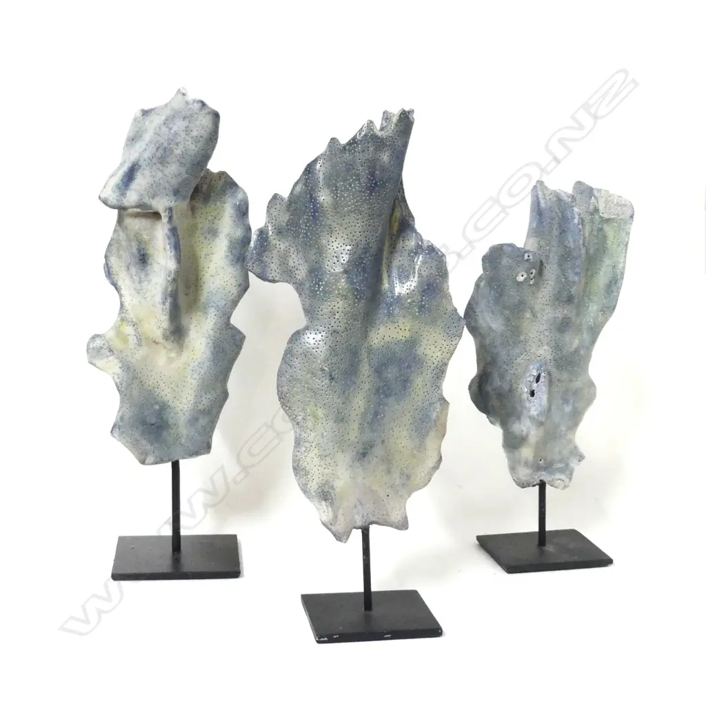 Three pieces of blue coral Image 1++