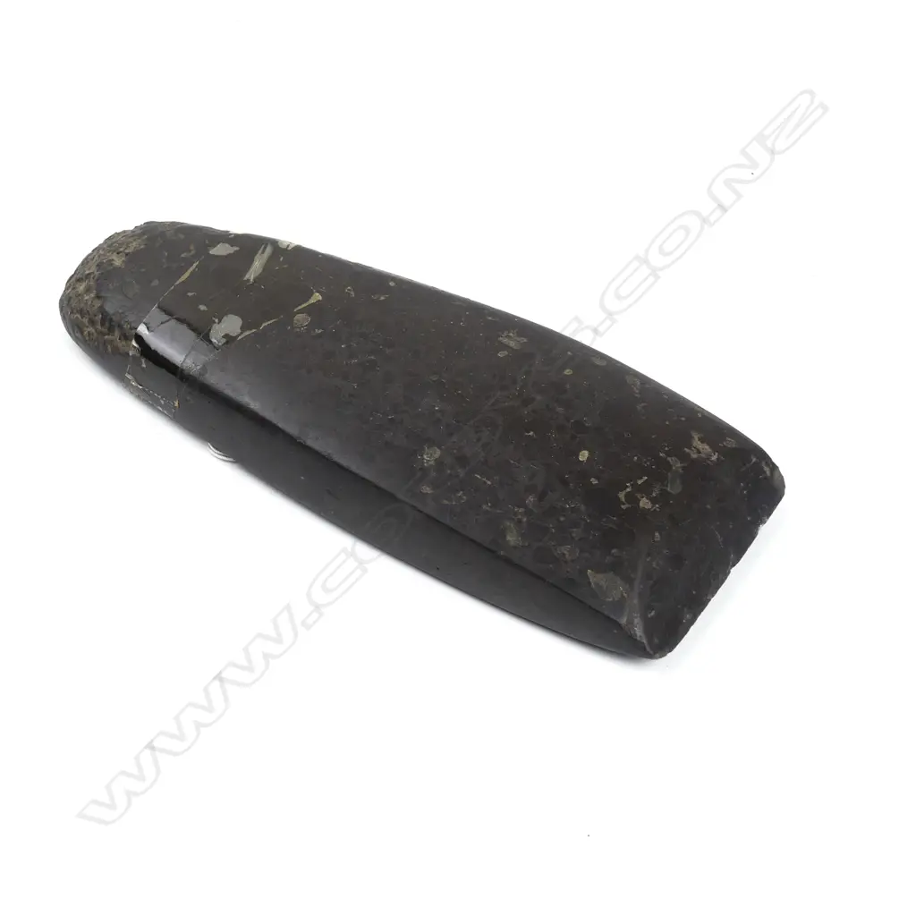 A conglomerate stone adze blade Image 1++