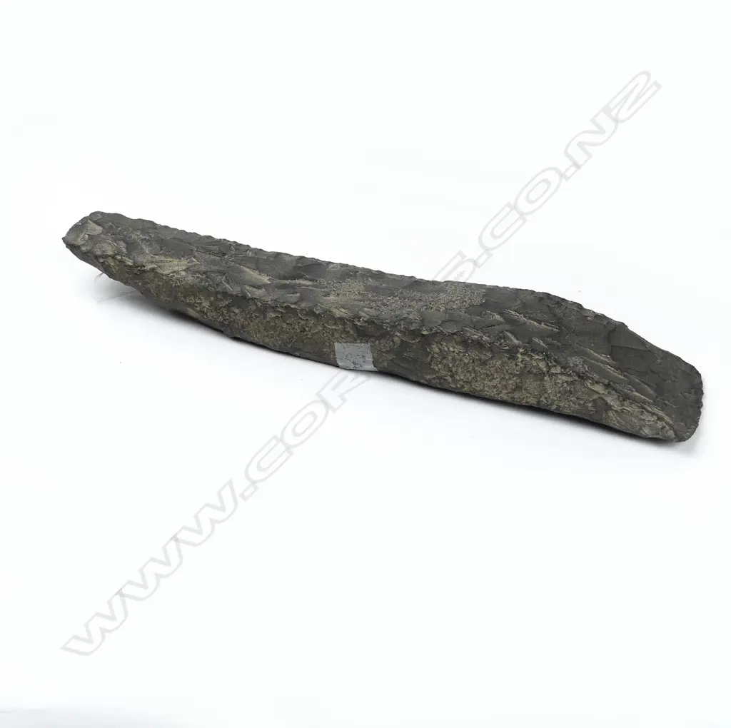 A large greywacke adze blade roughout Image 1++