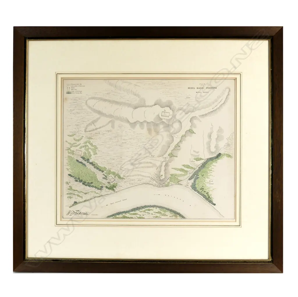 Original 1864 lithograph Image 1++