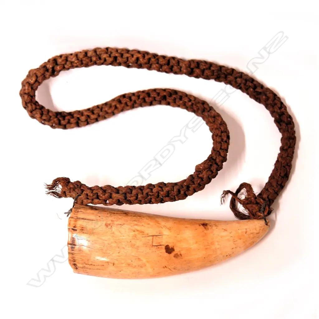 A 19thC Fijian tabua Image 1++