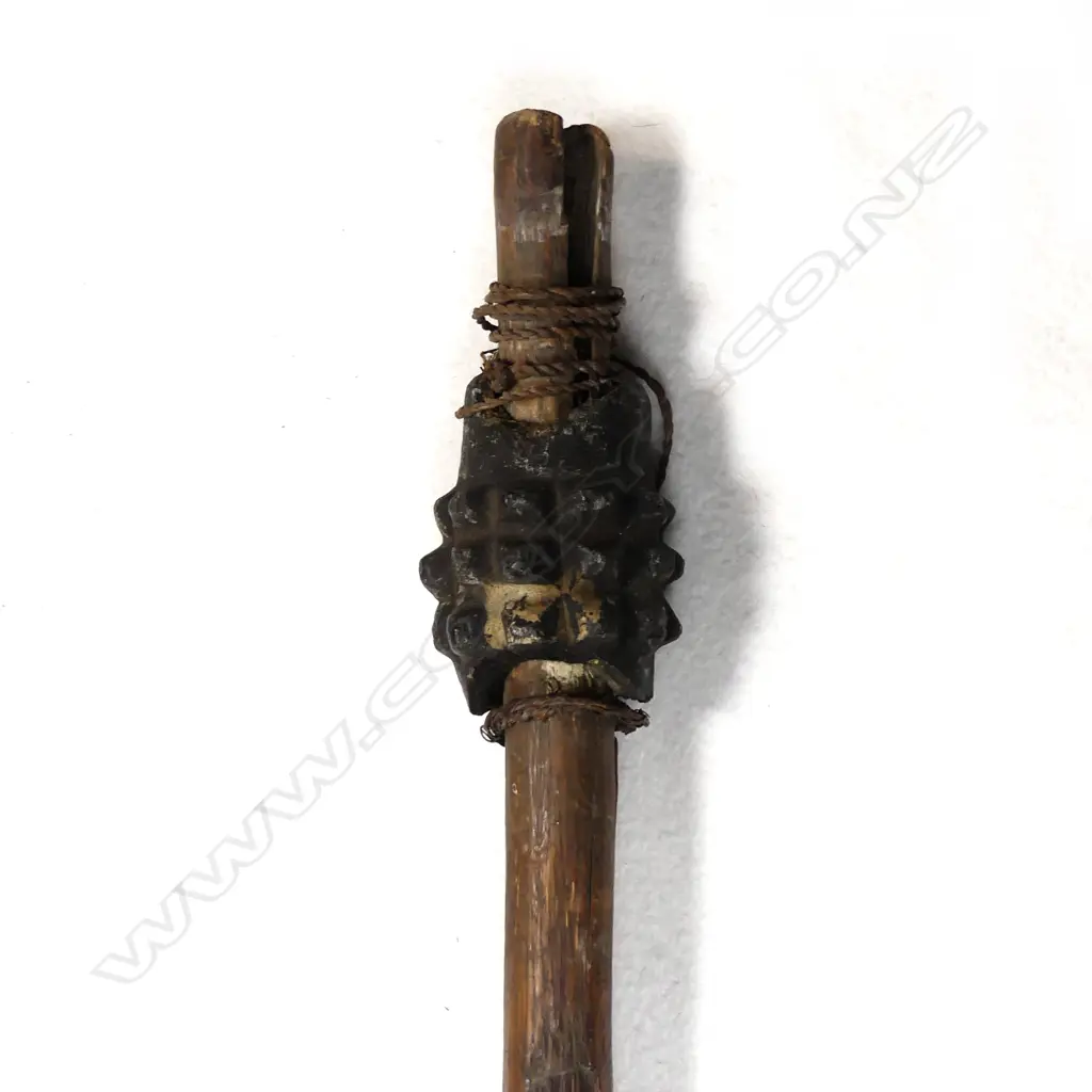 A Solomon Islands walking stick Image 1++