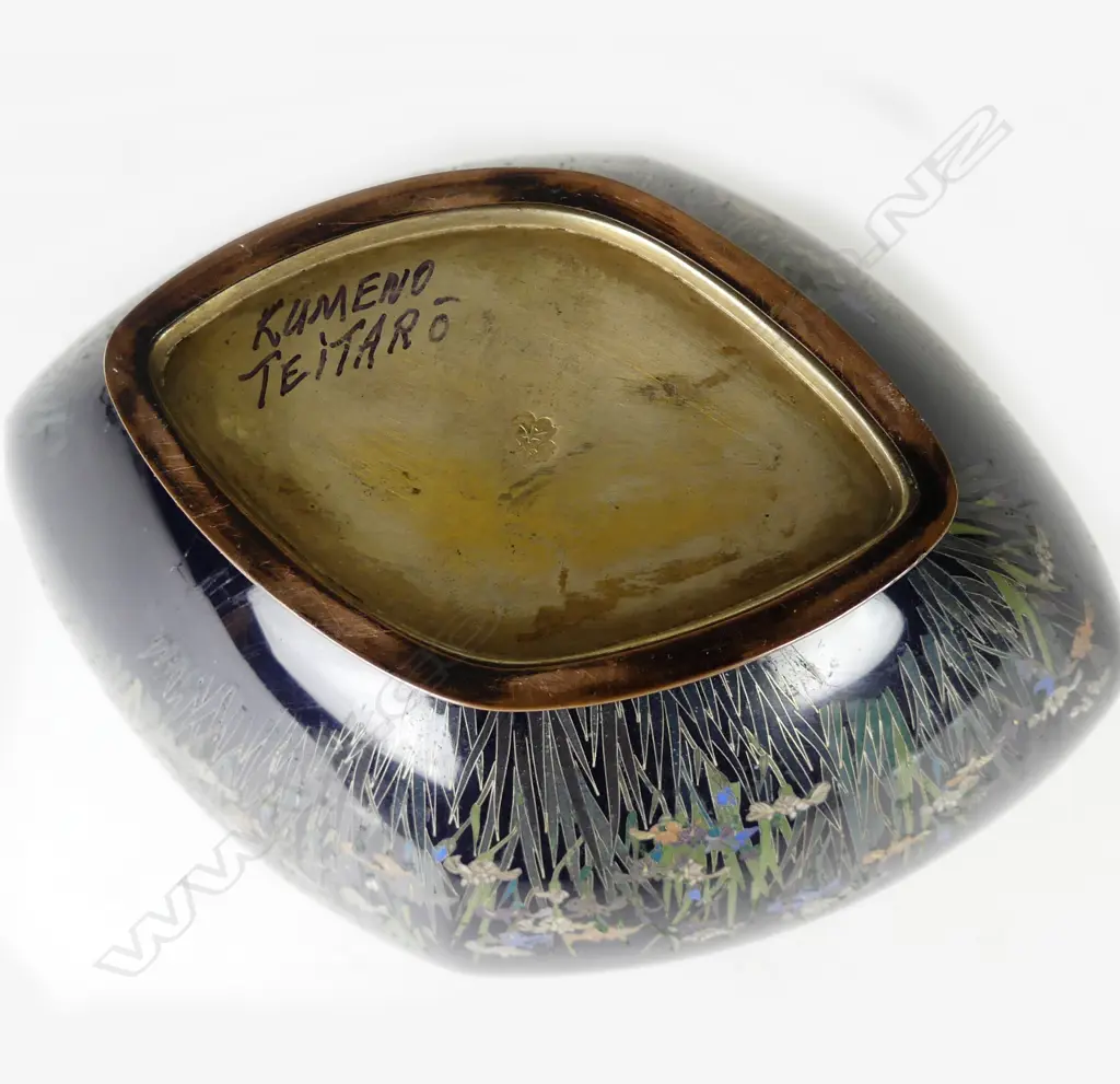 An unusual Japanese cloisonné vase by Kumeno Teitaro Image 1++
