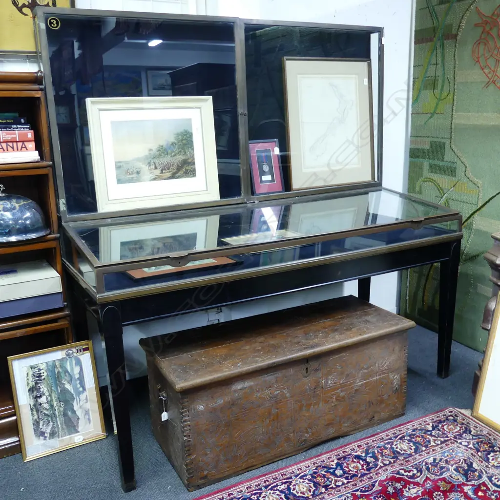 A good early 20thC bronze framed museum display cabinet Image 1++