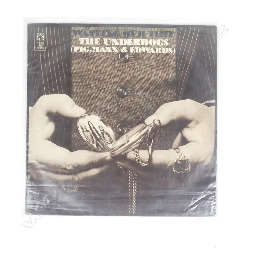 The Underdogs ‘Wasting our Time’ LP Image 1++