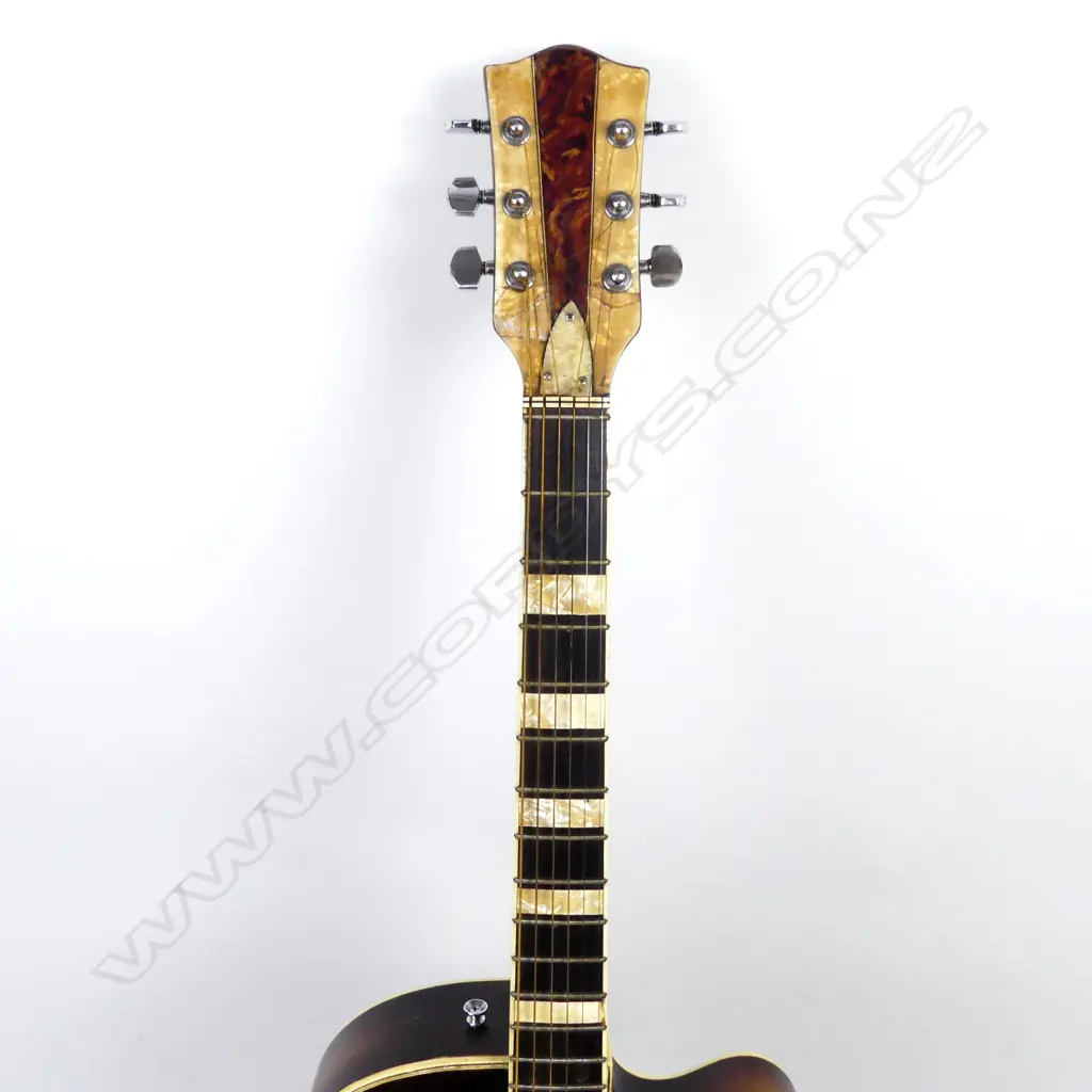 A Hofner electric guitar with soft case Image 1++