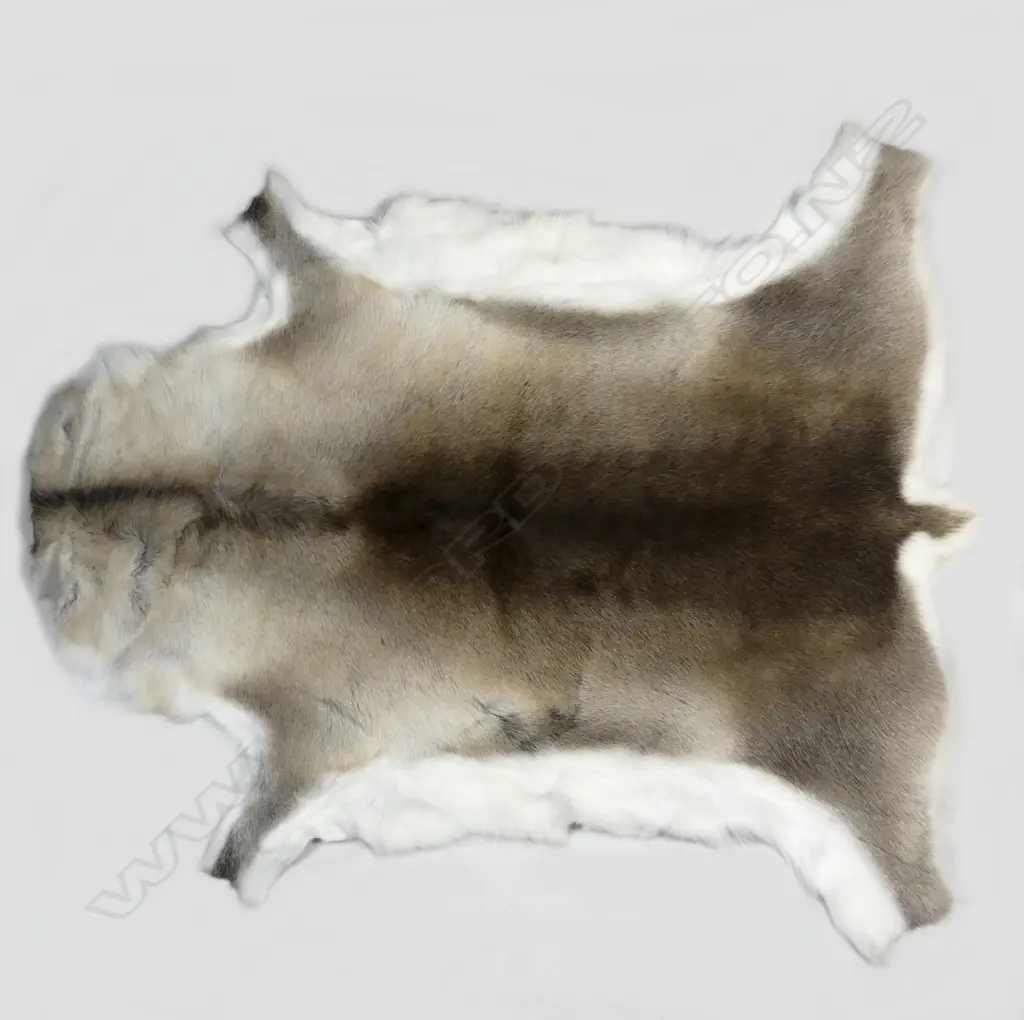 A reindeer hide rug Image 1++