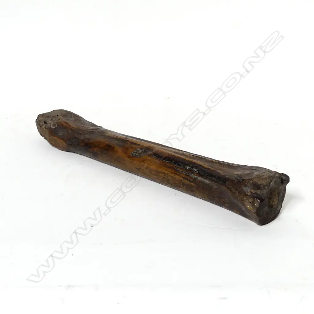 A rare medieval period English beef bone skate Image 1++