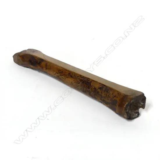 A rare medieval period English beef bone skate