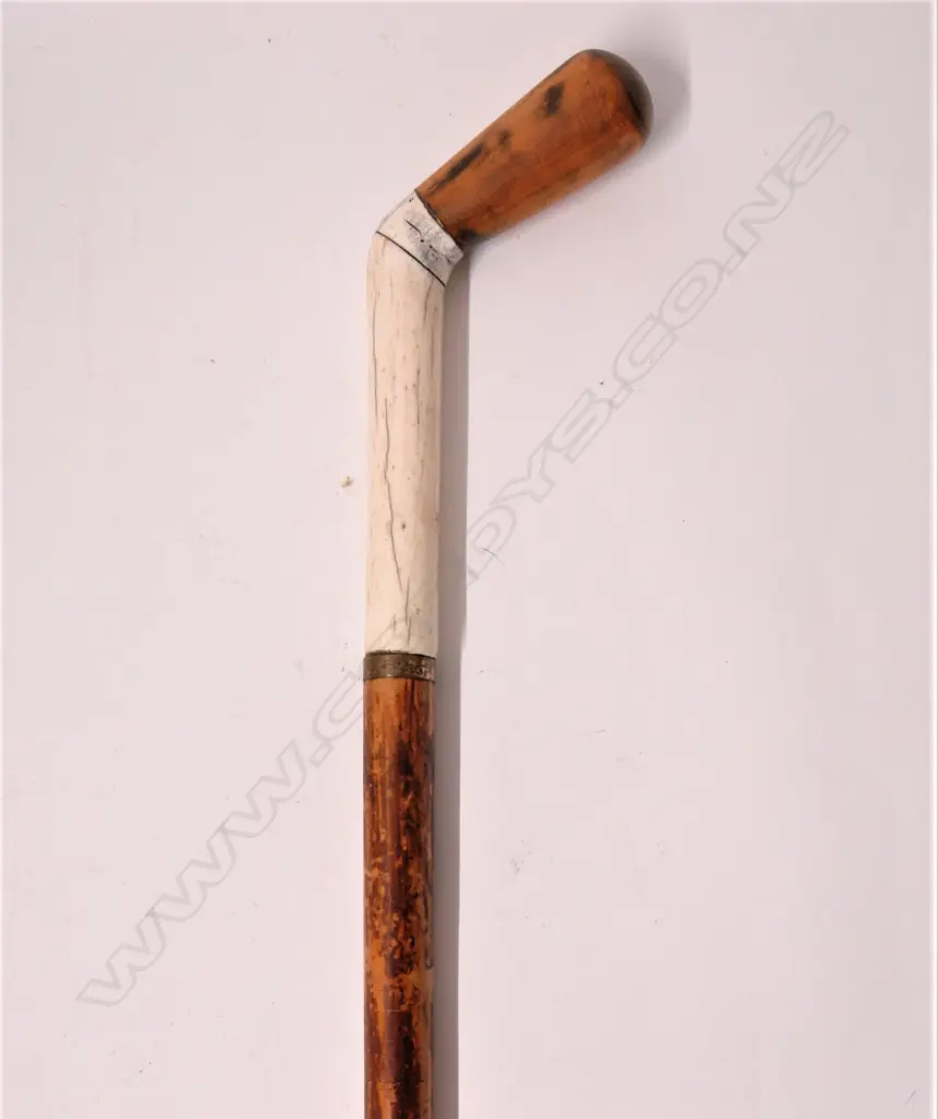 A vintage malacca cane and bone walking stick Image 1++