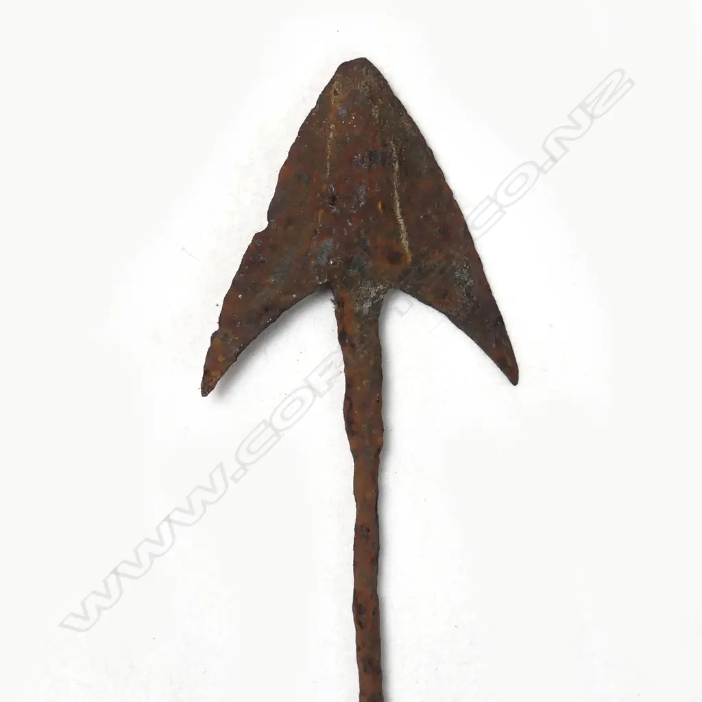 A heavily rusted double flue iron whaling harpoon Image 1++