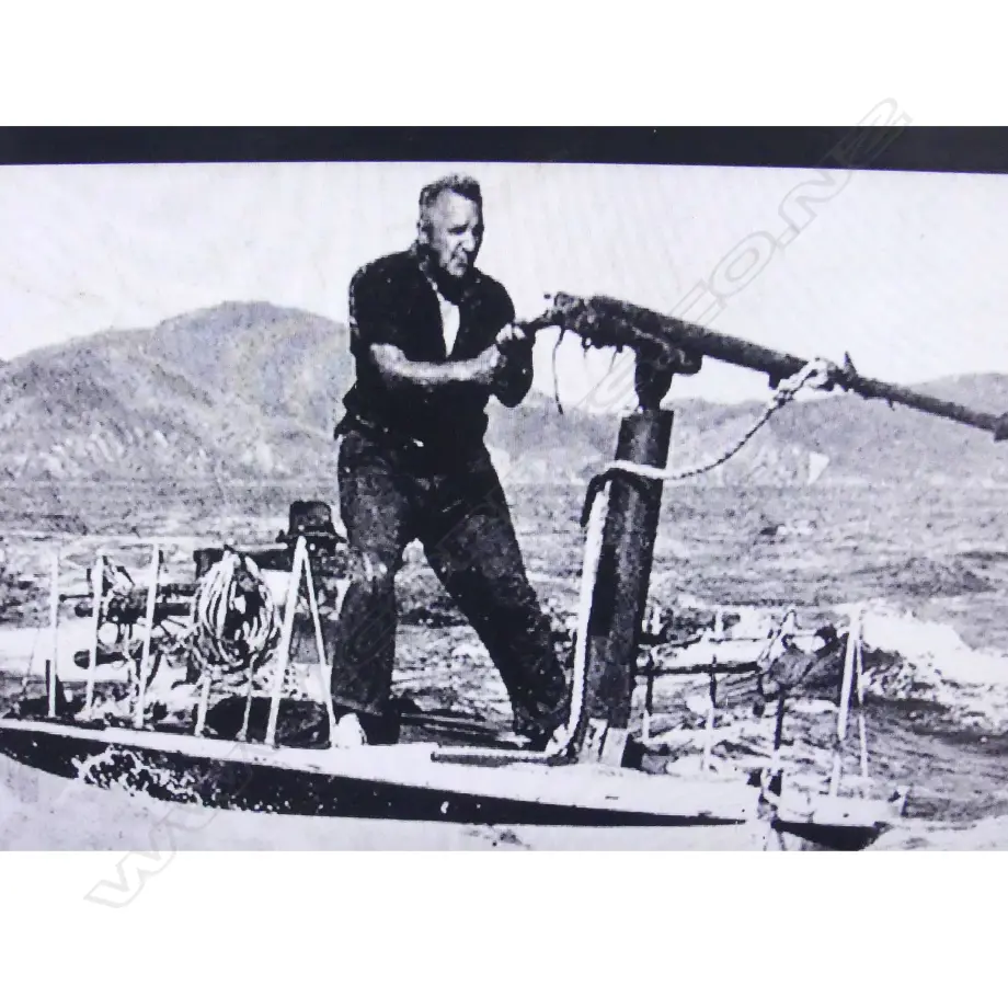A 20thC whaling swivel gun harpoon Image 1++