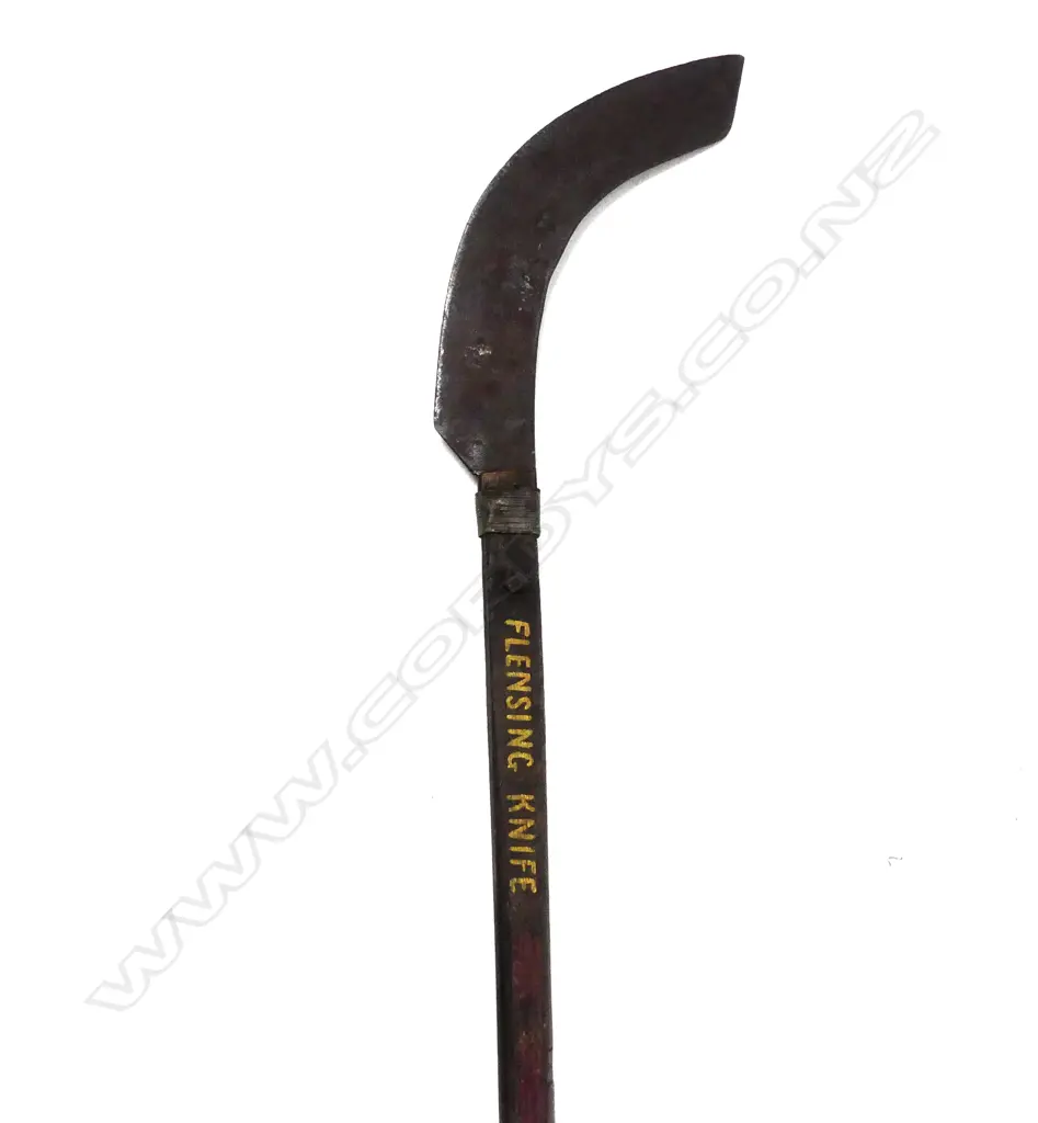 A flensing knife Image 1++