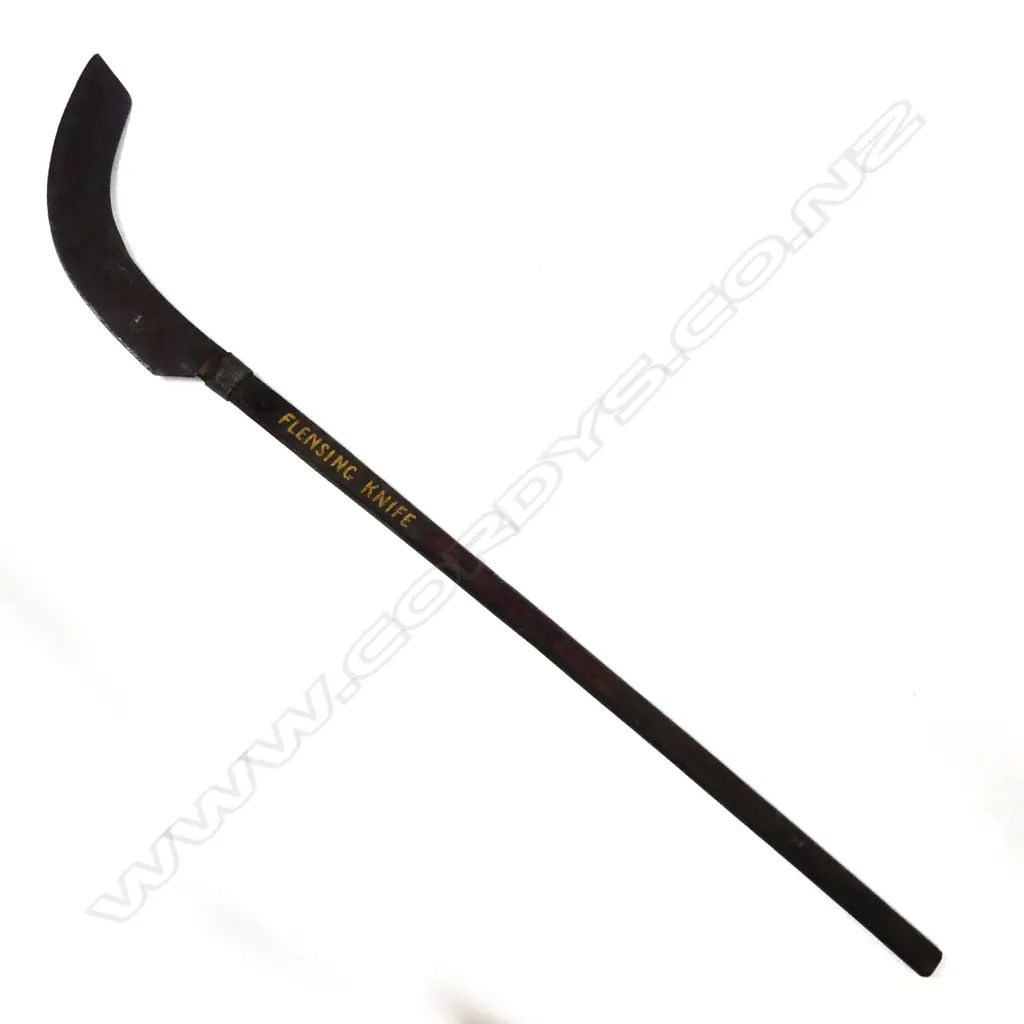 A flensing knife Image 1++