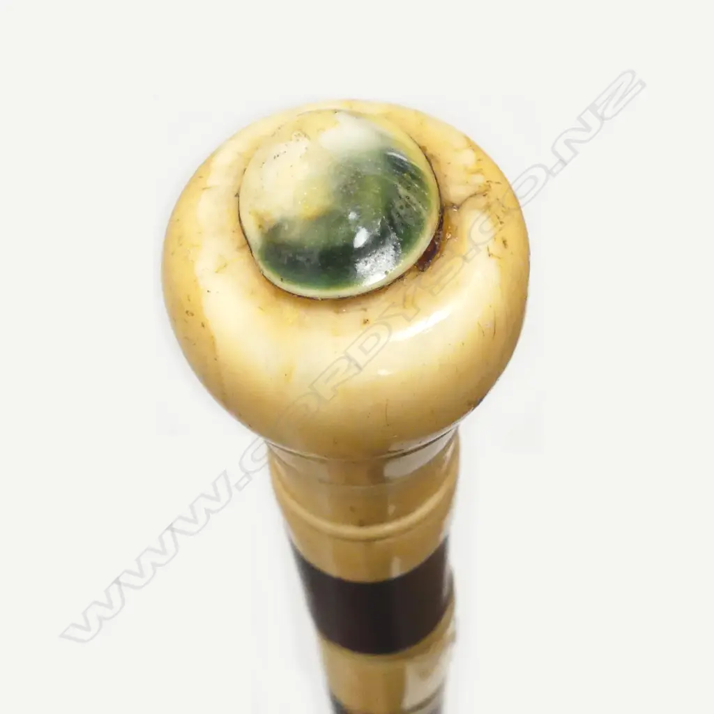 A 19thC whalebone and marine ivory walking stick Image 1++