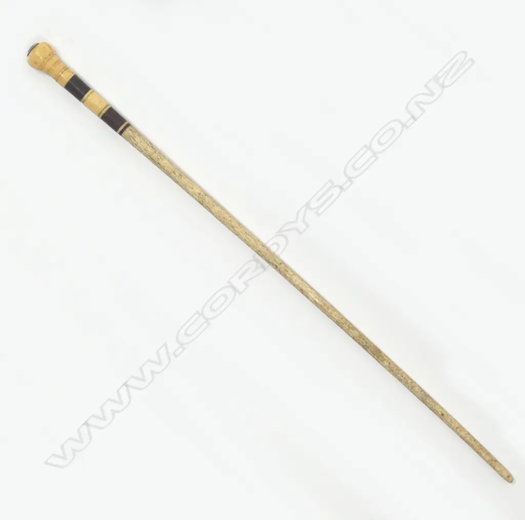 A 19thC whalebone and marine ivory walking stick Image 1++