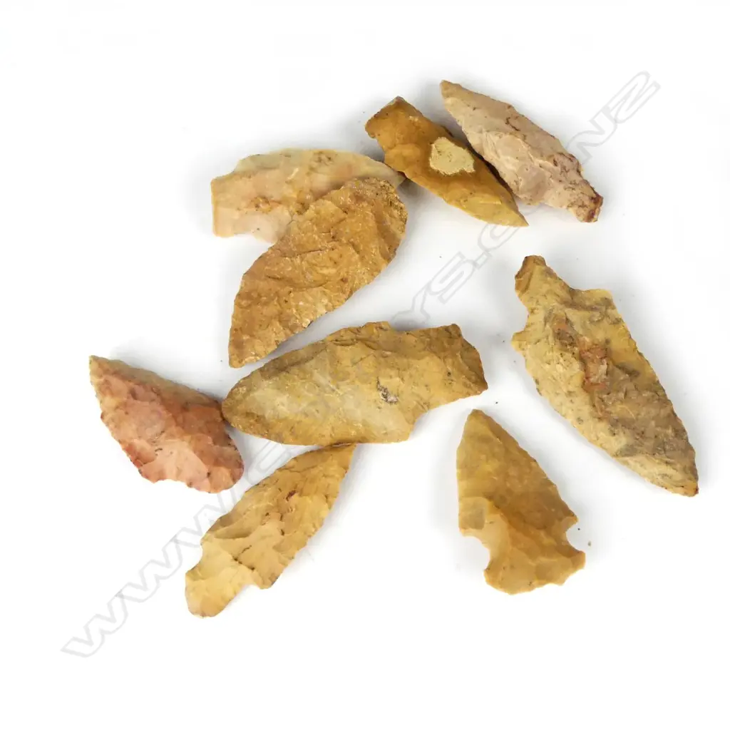 Nine knapped flint arrowheads and spear points Image 1++