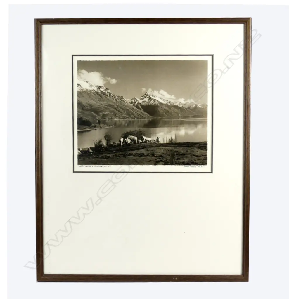 George Chance F.R.P.S 'Pasture by Lake Whakatipu' original photograph Image 1++