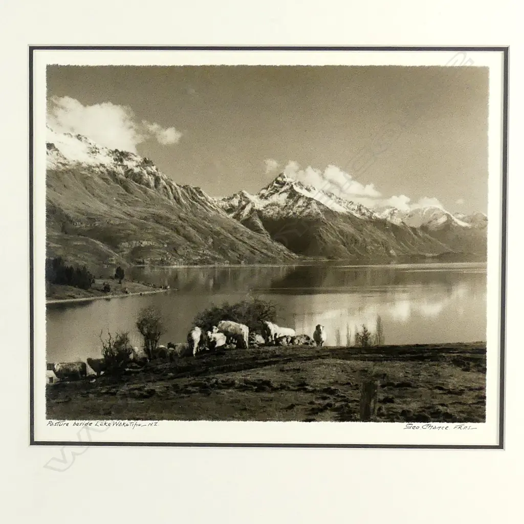 George Chance F.R.P.S 'Pasture by Lake Whakatipu' original photograph Image 1++