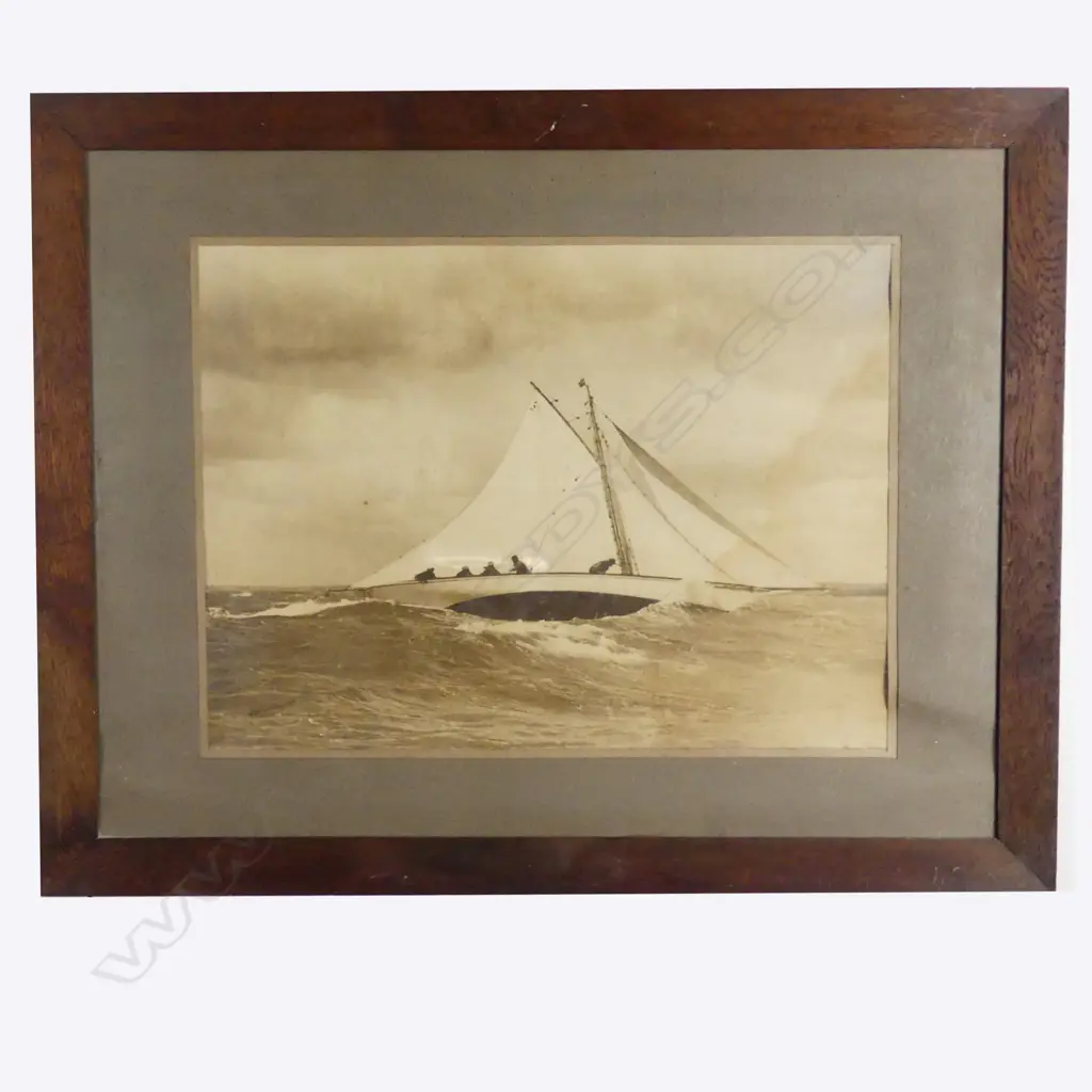 A large format Henry Winkelmann photograph Image 1++
