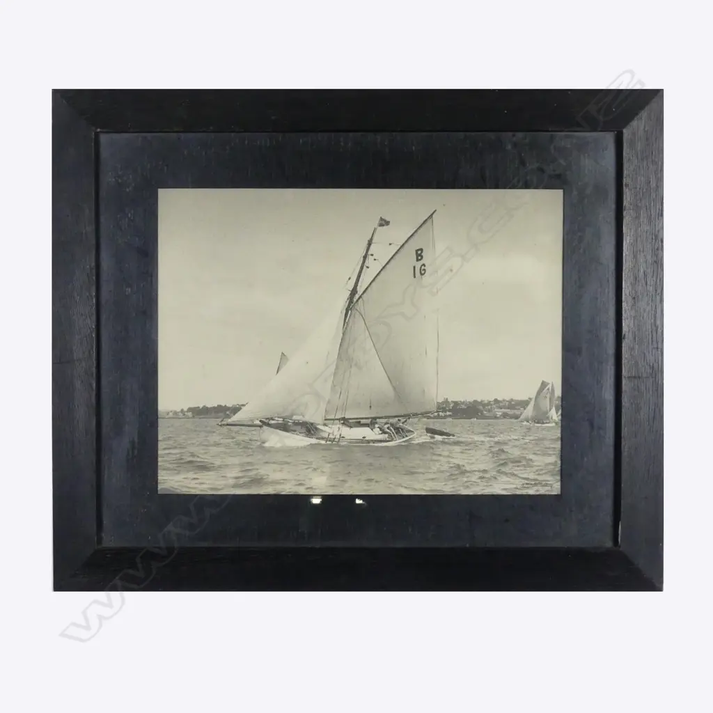 A Henry Winkelmann photograph Image 1++
