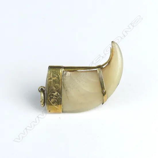 A late 19thC gold mounted tiger's claw pendant