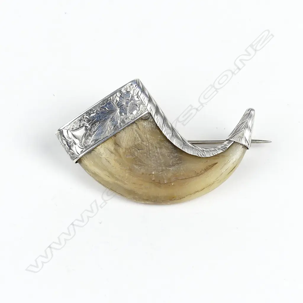 A c.1900 silver mounted tiger's claw brooch Image 1++